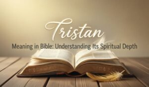 Tristan Meaning in Bible